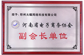 河南省電子商務(wù)協(xié)會(huì)副會(huì)長(zhǎng)單位